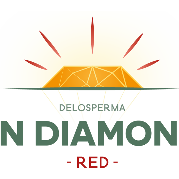 Sun Diamonds Red