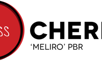Miss Cherry