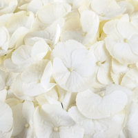Hi Crystal