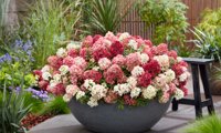 Groundbreaker® Ruby