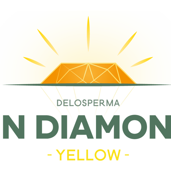 Sun Diamonds Yellow