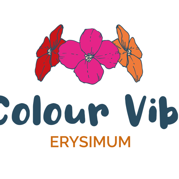 Colour Vibe Orange