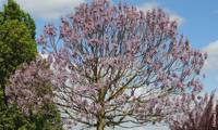April Light