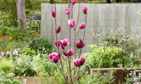 Flower Tower