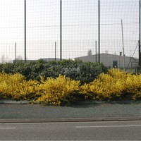 Marée d'Or®