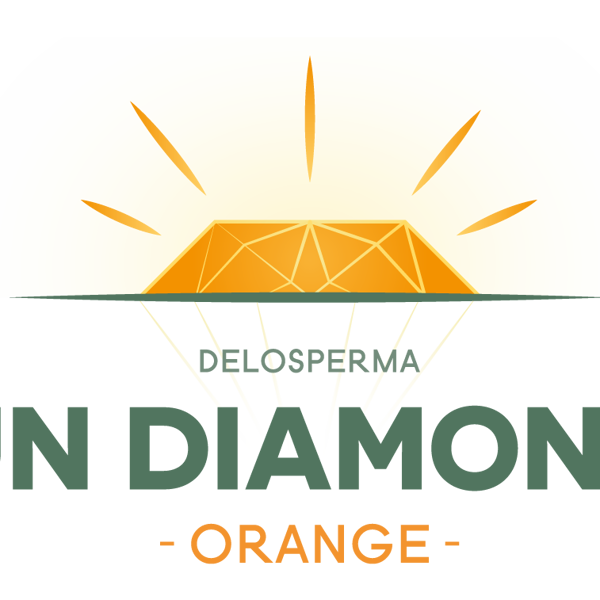 Sun Diamonds Orange
