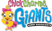 Chick Charms Giants Copper Canyon
