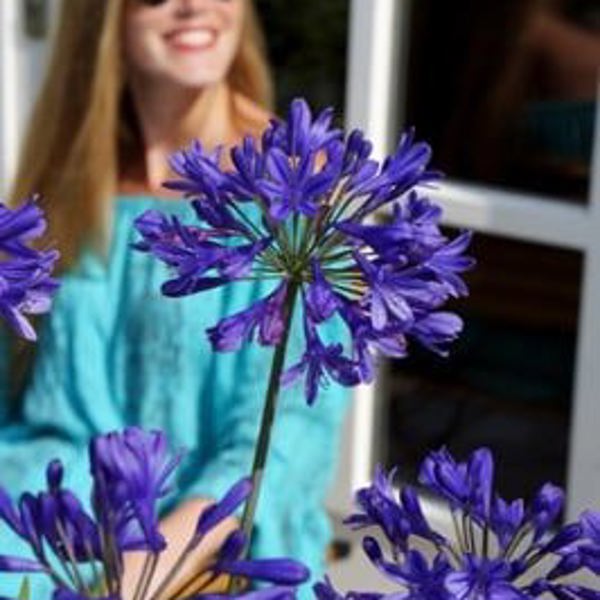Brilliant Blue