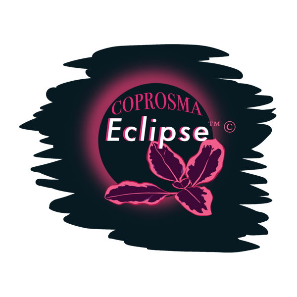 Eclipse (Coprosma)