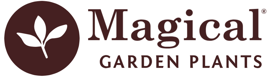 Magical® Garden Plants