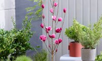 Flower Tower