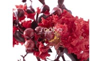 Black Diamond® Crimson Red