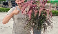 Tiny Tails