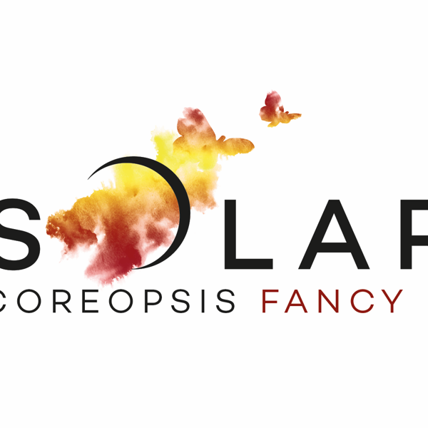 Solar Fancy
