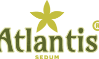 Atlantis