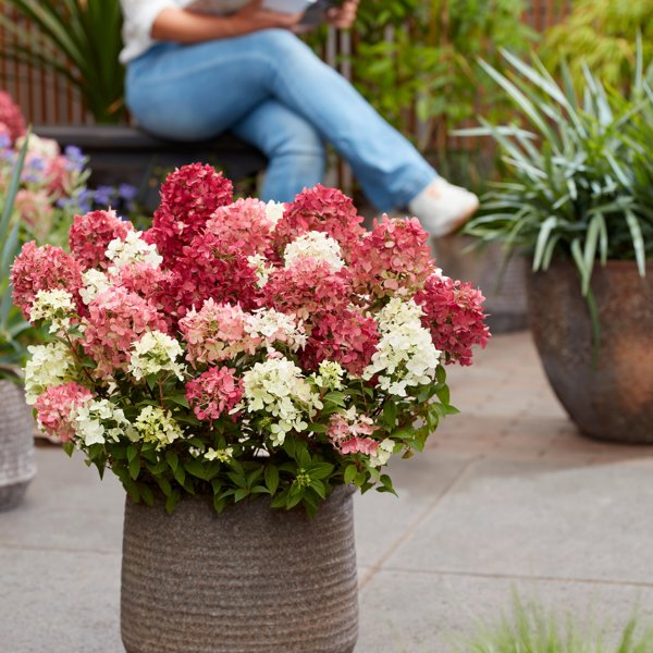 Groundbreaker® Ruby
