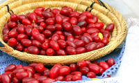 Jolico