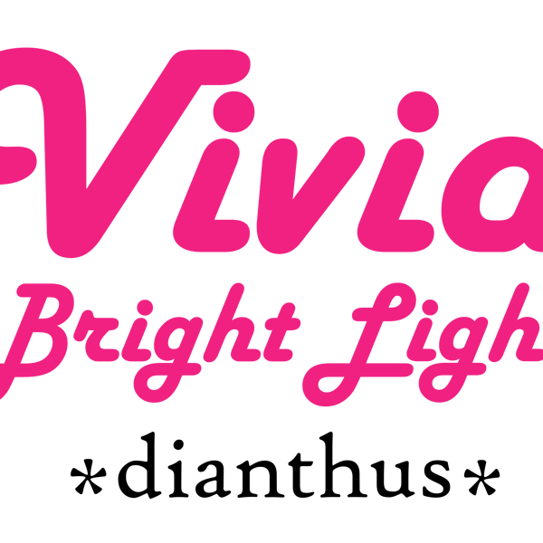 Vivid Bright Light