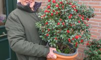 Jingle Berry