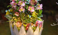 HGC® Ice N' Roses® Pink Promise