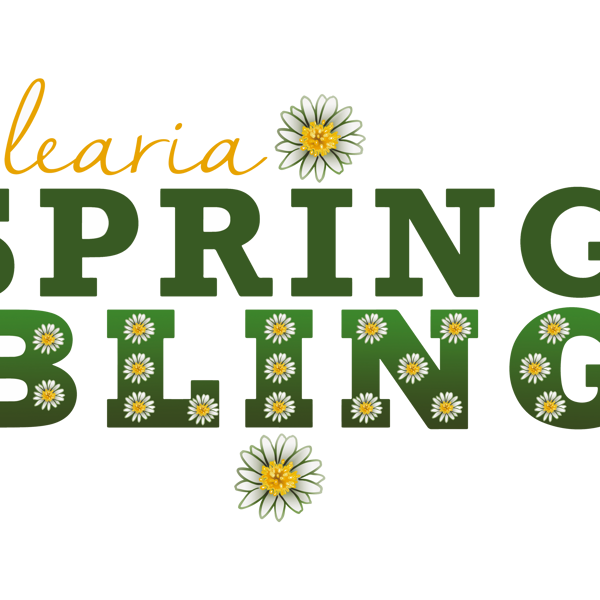 Spring Bling