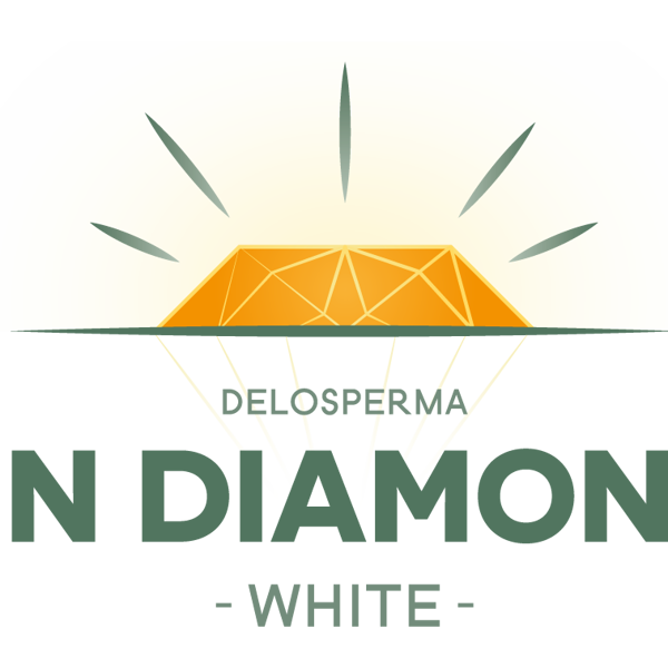 Sun Diamonds White